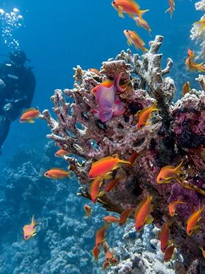 Marsa Alam