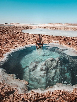 Oasis
