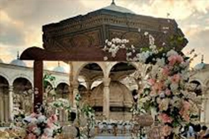  social event organizing