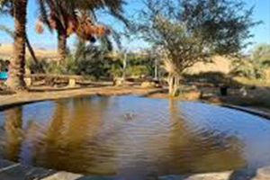 featuring 37°C sulfur water