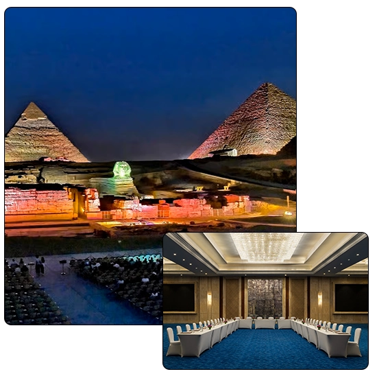 professionals in MICE